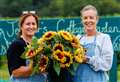‘It’s hard not to be filled with joy’: Family fun in bloom with sunflower mazes