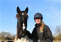 Dozens of horses brought back to full health after being taken in at sanctuary