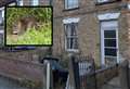 Action taken over rat infestation after a decade of ‘absolute hell’