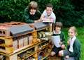 Wortham primary school’s bug hotel aims for silver award