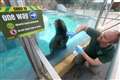 Wildlife park takes cautious approach to reopening