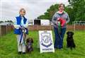 Super six competing at Crufts with trainer already proud as punch