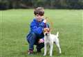 Buddy is top of the pups for owner Joe