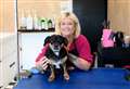 Business built on a love of animals