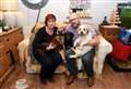 Anonymous letter claims responsibility for poisonous dog treats