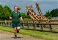 Banham Zoo keeper in last few days of running wild