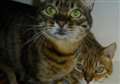 Can you help this friendly pair?