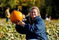 Thieves won’t keep us down, pledges pumpkin patch owner
