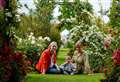 Out among the flowers: Festival puts roses under the spotlight