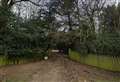 House development plans for 200-year-old country estate
