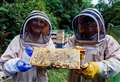 Beekeeping group all a buzz after a decade in the village