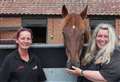 Pair bask in limelight after earning Team of the Year title