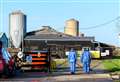 Bird flu at Mid Suffolk farm sees 27,000 chickens culled