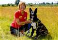 Dog welfare charity praises one of its top volunteers