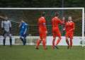 Potter left baffled by topsy-turvy draw with Robins
