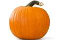 Popular pumpkin patch targeted by thieves in weekend raid