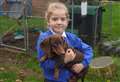 It’s a dog’s life as Cleo gets top barks in village school’s Ofsted report