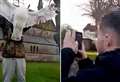 Seagull-killing teen who shot disabled man with catapult sentenced