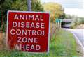 Bird Flu: Suffolk and Norfolk made subject of regional prevention zone after spike in cases