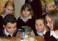 Riddlesworth school experiences wonders of nature