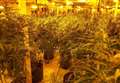 Two jailed for £1m cannabis farm 
