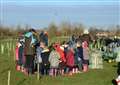 Gislingham’s 500 tree project