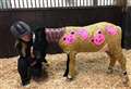 Horse that that inspired bandage initiative following suspected arson attack dies from burns