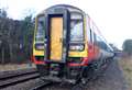 Passenger train derailed after hitting fallen trees – report