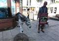 Donkey charity visits Diss