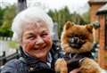 PICTURE GALLERY: Hardy dogs and owners take on annual New Year’s Day walk