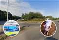 Six pigs killed after lorry overturns on busy roundabout