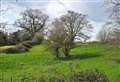 Controversial plans to develop Parish Fields in Diss to be discussed this week