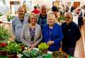 Society’s flower show is the pick of the bunch