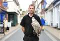 Pigeon rehoming underway in Diss