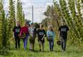 Hop-picking event at Redgrave's Star Wing Brewery