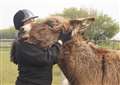 Double award success for Redwings Horse Sanctuary