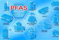 Cambridge researchers say certain gut microbes could protect us from harmful PFAS ‘forever chemicals’