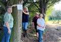 Save our trees: Residents band together after council agrees felling