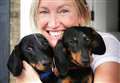 Community rallies after two dogs hit by car