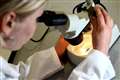 Bioengineered uterus repairs help rabbits have normal pregnancies
