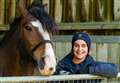 Horse charity bucks its rehoming record