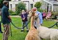 Alpacas pay visit to residents at care home