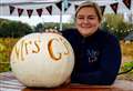 Police recover stolen wheelbarrows from popular pumpkin patch