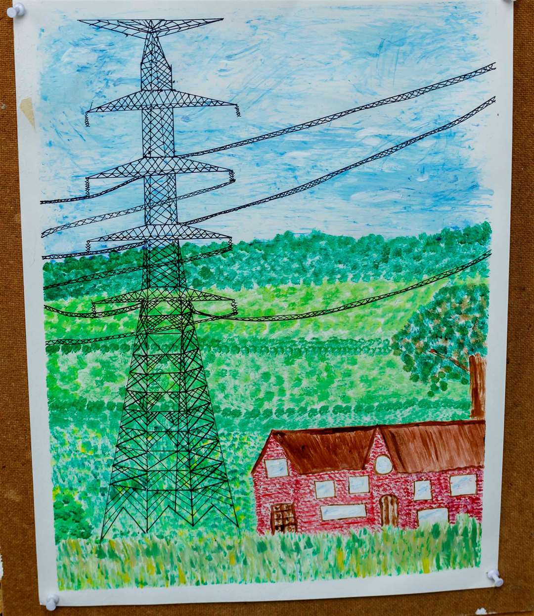 A selection of artists in the exhibition used their places to highlight the National Grid’s pylon proposals for the area. Picture: Mark Bullimore