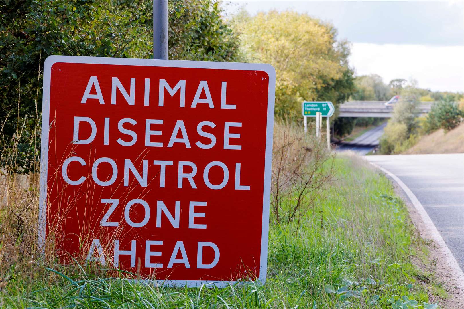 More birds have been culled in the Watton area due to suspicions of further bird flu cases. Picture: Mark Bullimore Photography