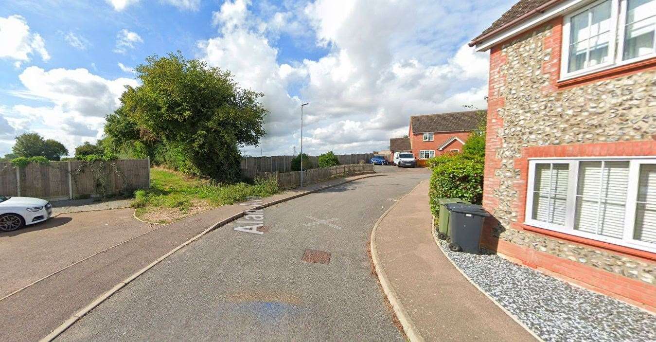 Alan Avenue, Newton Flotman. Picture: Google Maps