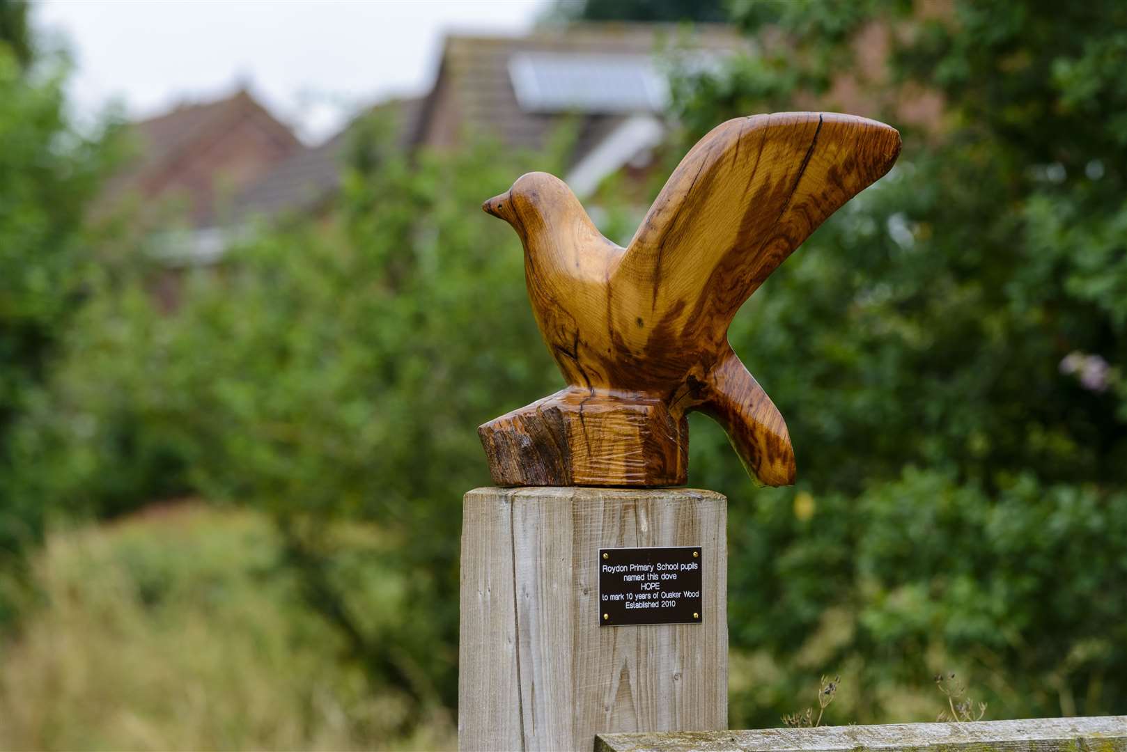 The wooden dove, named Hope, has been installed at the entrance of Quaker Wood. Picture: Mark Bullimore Photography.