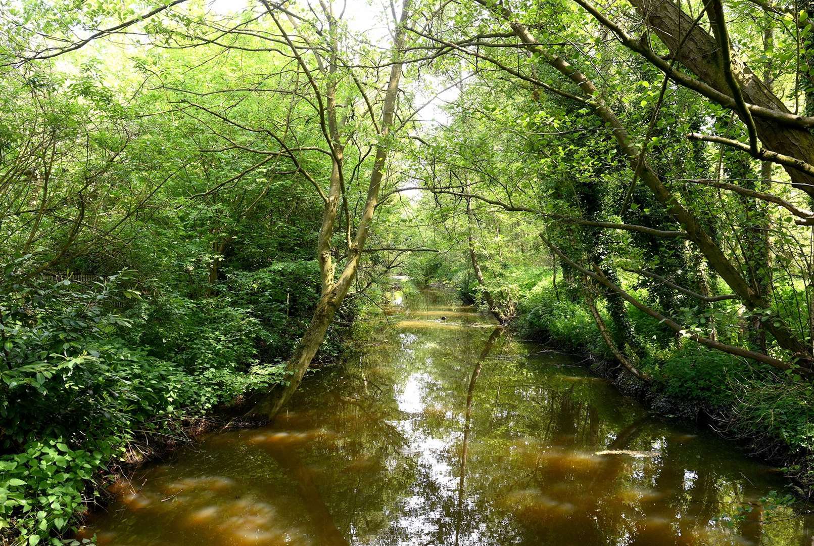 The River Waveney. Picture: Mecha Morton