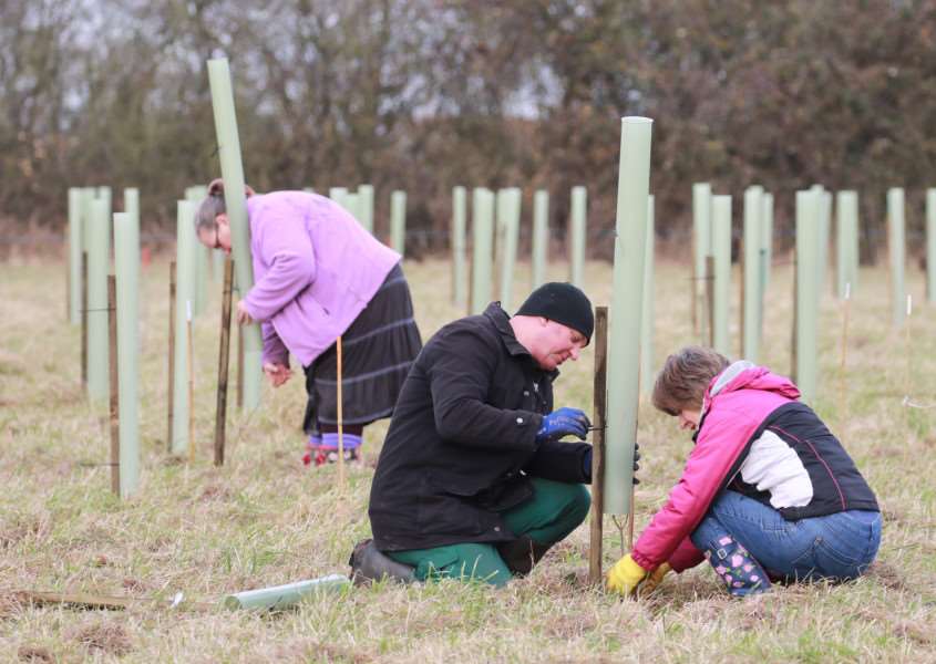 MDEP-09-12-2017-019 Volunteers go to work planting the Trees