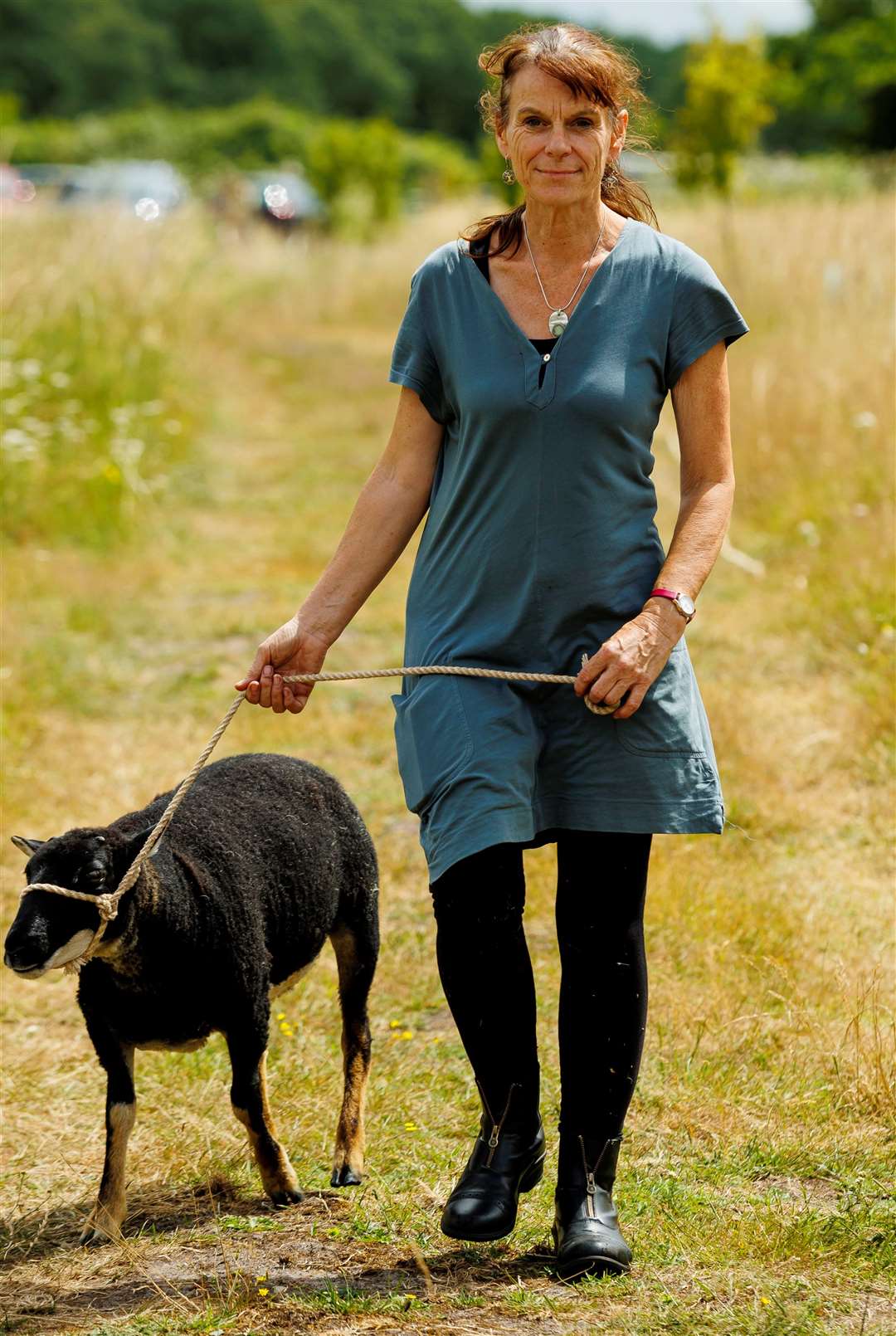 Sheep day held at Heron Meadow a CIC and Care Farm, a traditional 10-acre meadow in the Waveney River Valley. Pictures: Mark Bullimore